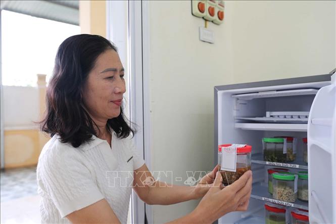 Thực hiện lưu mẫu thức ăn tại trường Mầm non Hải Lộc, tỉnh Thanh Hóa. Ảnh: Nguyễn Nam - TTXVN