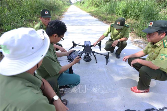 Lực lượng Kiểm lâm và lực lượng bảo vệ rừng, sử dụng thiết bị bay không người lái (flycam) giám sát trong khu vực vườn quốc gia U Minh Hạ, tỉnh Cà Mau. Ảnh: Vũ Sinh – TTXVN