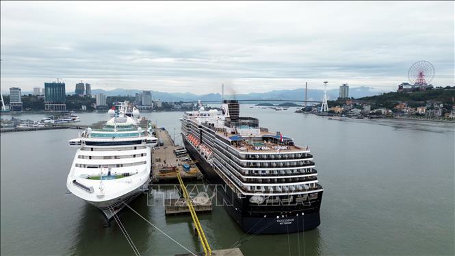 Hạ tầng cảng biển với cảng tàu khách quốc tế Hạ Long đáp ứng neo đậu của các tàu du lịch lớn. Ảnh: Đức Hiếu - TTXVN