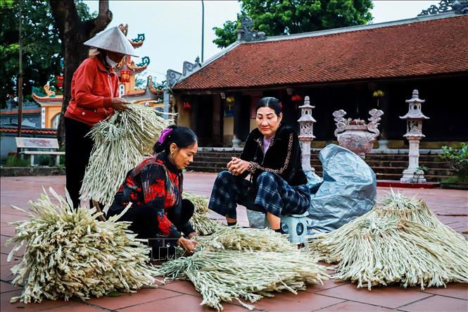 Outside the pagoda yard, traders sell la lui (young palm leaves) - the primary material for making Chuong conical hats. Sourced from Thanh Hoa and Ha Tinh provinces, the leaves are treated by rubbing with sand and sun-dried for two to three days until they turn a silvery white, becoming soft and easy to shape. They are then bundled into bunches of 50 to 100 leaves, priced between 65,000 and 200,000 VND (3 - 8 USD) depending on quality. Photo: Vân Chi/VNA