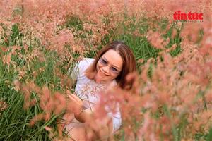 Quyến rũ vườn cỏ hồng dưới chân cầu Long Biên