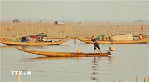 Thời điểm 'vàng' ngắm bình minh trên phá Tam Giang
