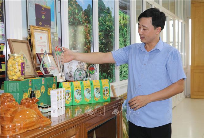 Đa dạng các mô hình kinh tế nông nghiệp, nông thôn ở Ninh Bình - Ảnh ...