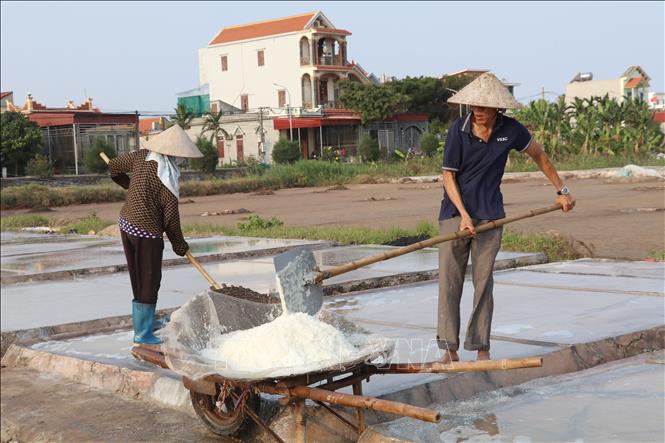 Salt farmers in Ninh Binh province during salt harvest season. VNA Photo: Thùy Dung 