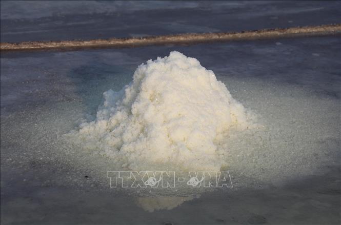 The white, uniform, and firm grains of salt from Hai Tien commune, Ninh Binh province, are highly valued in the market. VNA Photo: Thùy Dung 