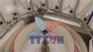 Hé lộ trí tuệ tập thể đáng kinh ngạc của loài kiến dệt khi xây tổ