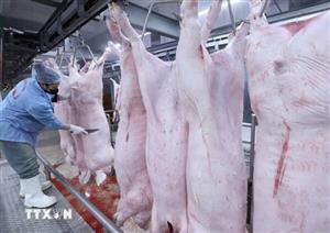 Quảng Ninh xử phạt 66 trường hợp vi phạm về an toàn thực phẩm