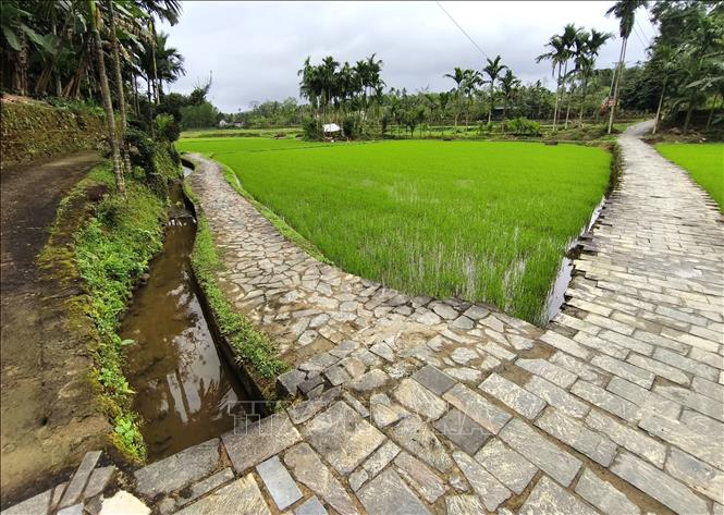 Quang cảnh thân quen của một làng quê Việt cổ. Ảnh: Quốc Dũng - TTXVN