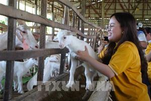 Du lịch sinh thái Cần Thơ chờ cú hích hạ tầng