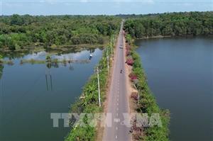 Đồng Nai điều chỉnh đường kết nối Tây Nguyên với đường Vành đai 4 lên 6 làn xe