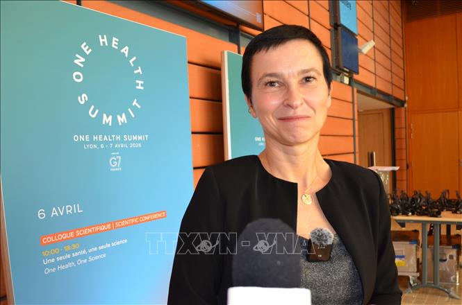 Bà Flavie Goutard, bác sĩ thú y chuyên về dịch tễ học thuộc Trung tâm nghiên cứu quốc tế vì sự phát triển nông nghiệp (CIRAD) của Pháp, đánh giá rằng điểm đặc biệt của mô hình 