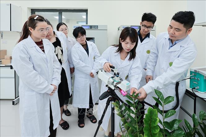Sinh viên Khoa Nông học thực hành sử dụng thiết bị đo quang hợp dưới sự hướng dẫn của Giảng viên. Ảnh: Lê Đông - TTXVN