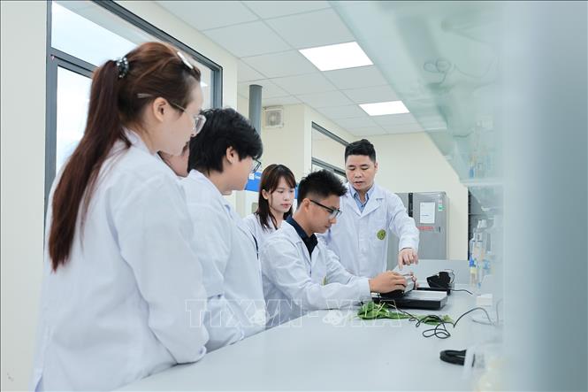 Hoạt động thực hành với Máy đo diện tích lá giúp sinh viên đánh giá sức khỏe, sự phát triển và phản ứng của cây đối với môi trường. Ảnh: Lê Đông - TTXVN