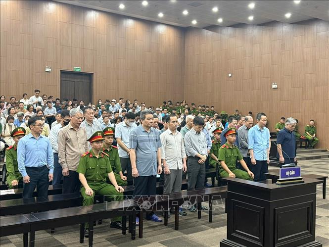 Các bị cáo nghe Tòa tuyên án. Ảnh: Kim Anh – TTXVN