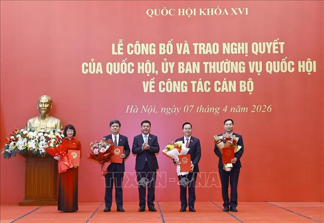 Phó Chủ tịch Quốc hội Nguyễn Hồng Diên trao các Nghị quyết của Ủy ban Thường vụ Quốc hội về công tác cán bộ. Ảnh: Doãn Tấn – TTXVN