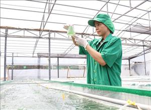 Chiến lược quốc gia về khởi nghiệp sáng tạo