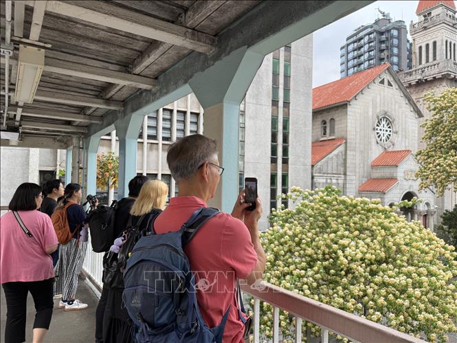 Người dân chụp ảnh hoa bún. Ảnh: Mạc Luyện - PV TTXVN tại Hong Kong (Trung Quốc)