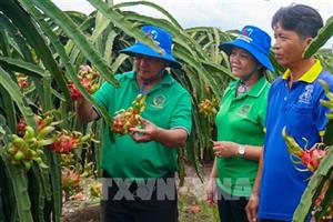 Cơ hội phát triển kinh tế hợp tác xã bền vững