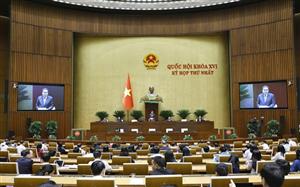 Phê chuẩn kết quả bầu Chủ tịch Hội đồng nhân dân các tỉnh, thành phố nhiệm kỳ 2026 - 2031