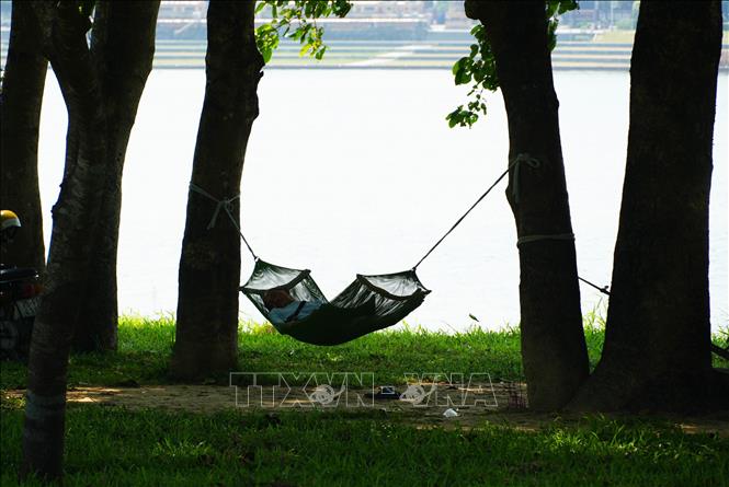 Người lao động ở thành phố Huế nghỉ ngơi trên võng, trong công viên ở bờ Bắc sông Hương để tránh nắng nóng. Ảnh: Nguyên Lý - TTXVN