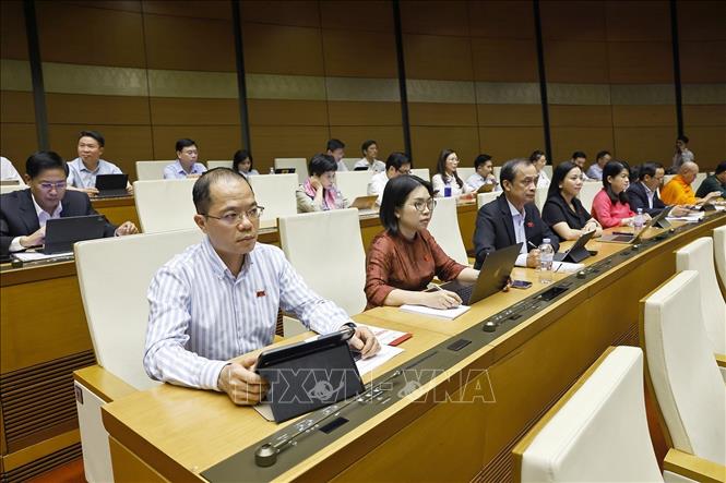 Đoàn đại biểu Quốc hội thành phố Cần Thơ và tỉnh Phú Thọ dự phiên họp. Ảnh: Doãn Tấn - TTXVN