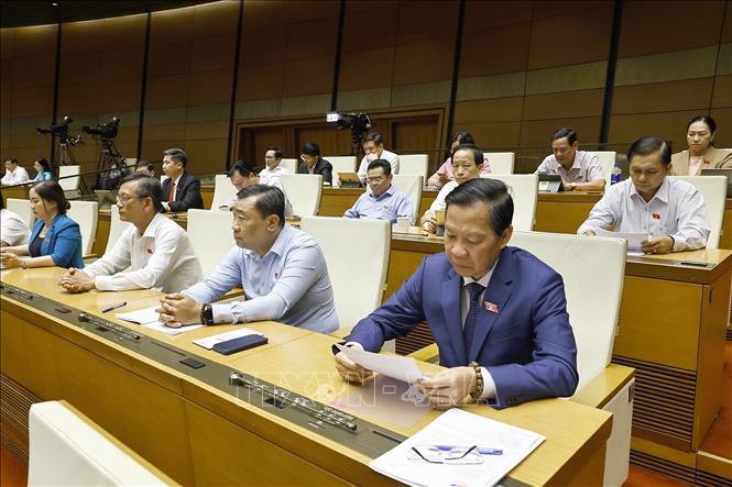 Đoàn đại biểu Quốc hội tỉnh Vĩnh Long dự phiên họp. Ảnh: Doãn Tấn - TTXVN