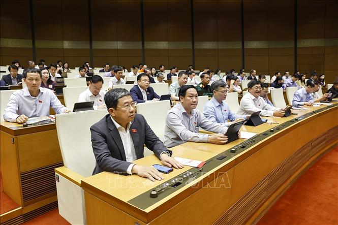 Đoàn đại biểu Quốc hội tỉnh Đồng Nai dự phiên họp. Ảnh: Doãn Tấn - TTXVN