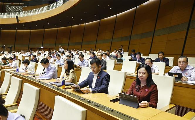 Đoàn đại biểu Quốc hội tỉnh Đồng Nai dự phiên họp. Ảnh: Doãn Tấn - TTXVN