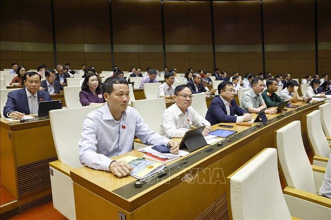 Đoàn đại biểu Quốc hội tỉnh Đồng Nai dự phiên họp. Ảnh: Doãn Tấn - TTXVN