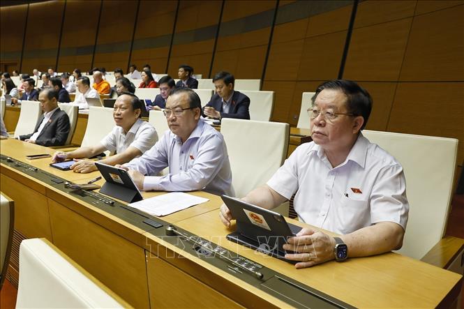 Đoàn đại biểu Quốc hội tỉnh Tây Ninh dự phiên họp. Ảnh: Doãn Tấn - TTXVN