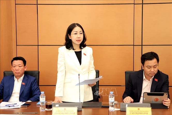 Đại biểu Quốc hội tỉnh Thanh Hoá Phan Thị Thuỳ Linh phát biểu thảo luận tại tổ 3. Ảnh: Tuấn Anh - TTXVN