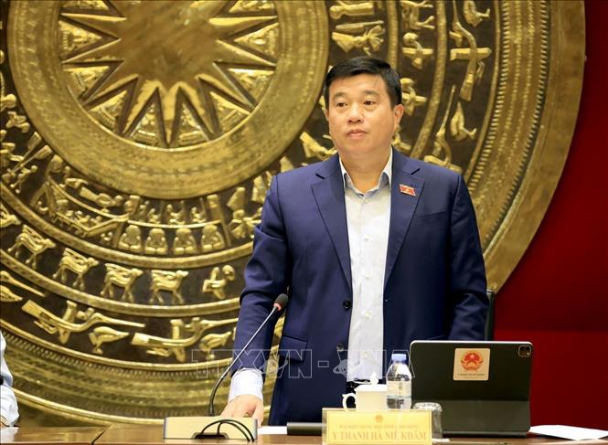 Trưởng đoàn đại biểu Quốc hội tỉnh Lâm Đồng Y Thanh Hà Niê Kđăm phát biểu. Ảnh: Tuấn Anh - TTXVN