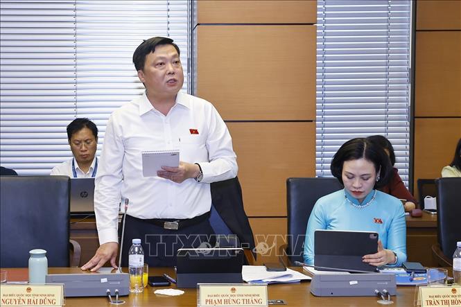 Đại biểu Quốc hội tỉnh Ninh Bình Phạm Hùng Thắng phát biểu. Ảnh: Doãn Tấn - TTXVN