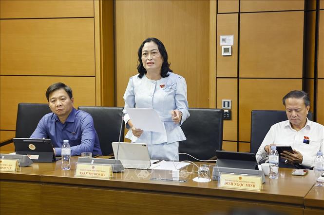 Đại biểu Quốc hội tỉnh Cà Mau Trần Thị Hoa Ry phát biểu. Ảnh: Doãn Tấn - TTXVN