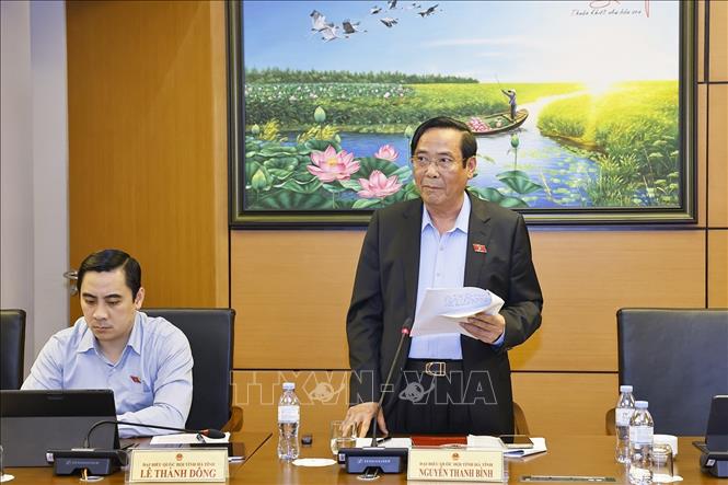 Đại biểu Quốc hội tỉnh Hà Tĩnh Nguyễn Thanh Bình phát biểu. Ảnh: Doãn Tấn - TTXVN