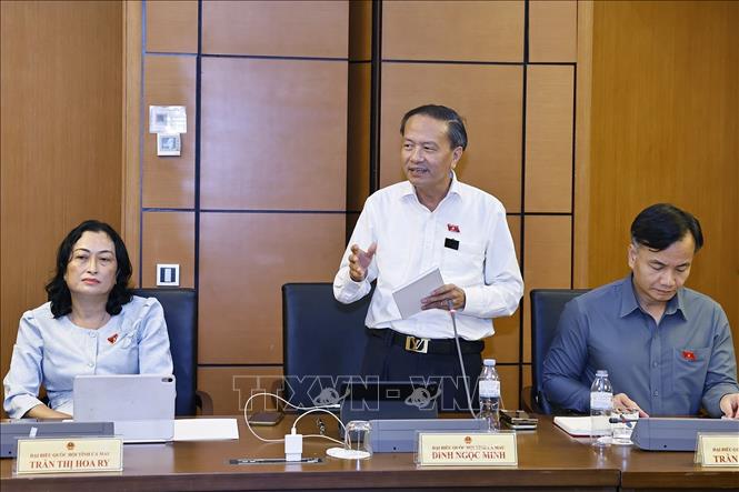 Đại biểu Quốc hội tỉnh Cà Mau Đinh Ngọc Minh phát biểu. Ảnh: Doãn Tấn - TTXVN