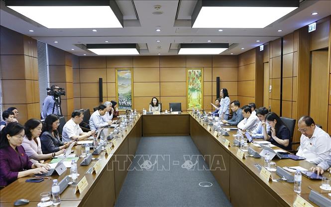 Đoàn đại biểu Quốc hội các tỉnh Bắc Ninh và Cà Mau thảo luận ở tổ. Ảnh: Doãn Tấn - TTXVN