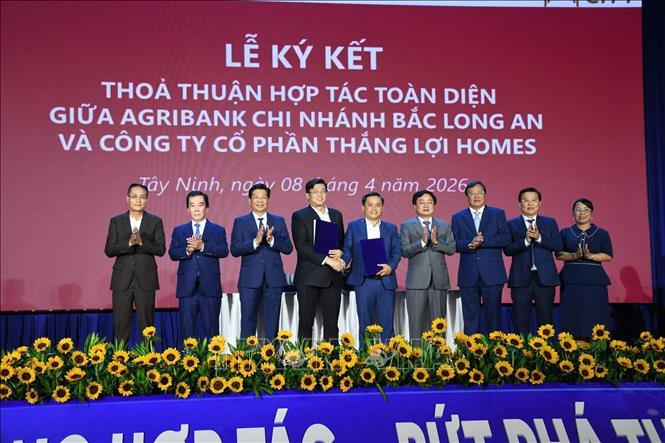 Ký kết hợp tác giữa các doanh nghiệp. Ảnh: Thanh Bình -TTXVN
