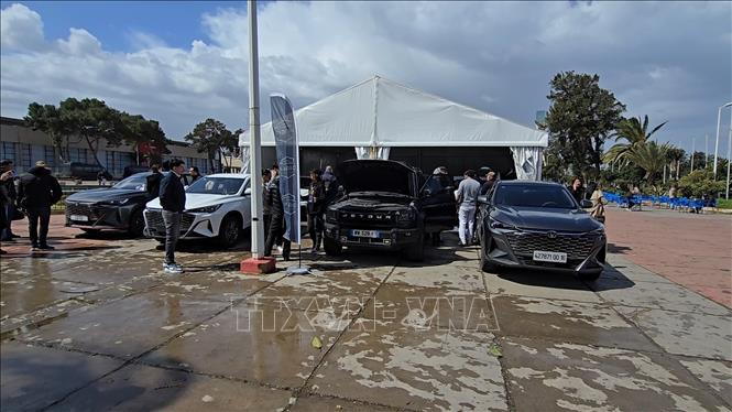 Xe Trung Quốc đã qua sử dụng được trưng bày tại Trung tâm triển lãm SAFEX - Algiers của Algeria. Ảnh: Nguyễn An - PV TTXVN tại Algeria