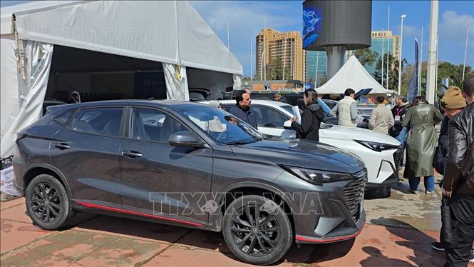 Các mẫu xe Trung Quốc đã qua sử dụng được bày bán phục vụ nhu cầu người dân. Ảnh: Nguyễn An - PV TTXVN tại Algeria