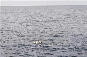 Tìm thấy thi thể ngư dân mất tích sau nhiều ngày tìm kiếm