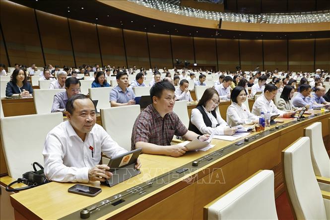 Đoàn đại biểu Quốc hội tỉnh Quảng Ngãi dự phiên họp. Ảnh: Doãn Tấn - TTXVN