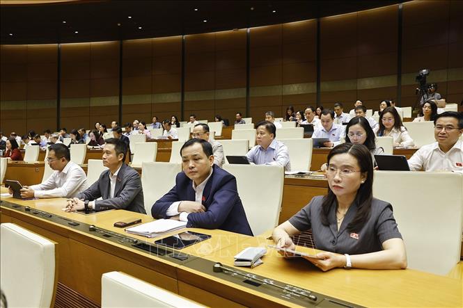 Đoàn đại biểu Quốc hội TP Hồ Chí Minh dự phiên họp. Ảnh: Doãn Tấn - TTXVN