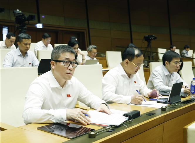 Các đại biểu tham dự Kỳ họp. Ảnh: Thống Nhất – TTXVN