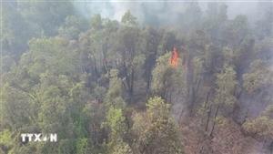 Nguy cơ cháy rừng cao trên diện rộng tại Đà Nẵng do nắng nóng kéo dài
