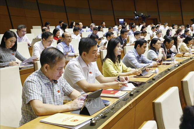 Đoàn đại biểu Quốc hội tỉnh Hà Tĩnh dự phiên họp. Ảnh: Doãn Tấn - TTXVN