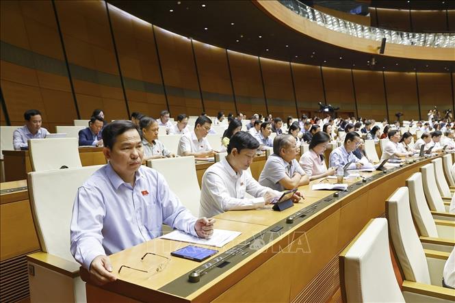 Đoàn đại biểu Quốc hội TP Hồ Chí Minh dự phiên họp. Ảnh: Doãn Tấn - TTXVN