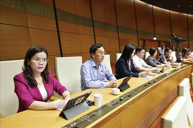 Đoàn đại biểu Quốc hội tỉnh Hưng Yên dự phiên họp. Ảnh: Doãn Tấn - TTXVN