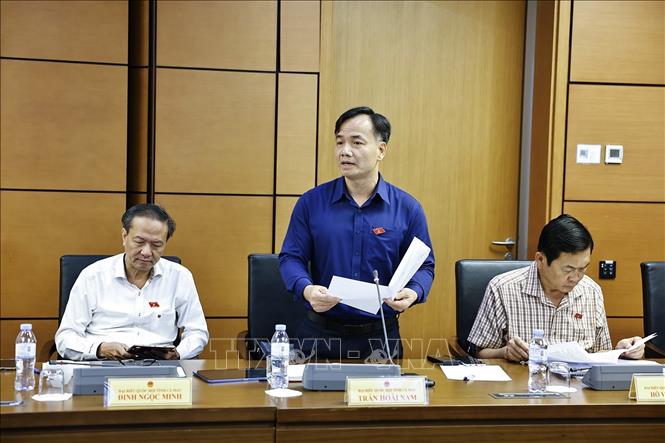 Đại biểu Quốc hội tỉnh Cà Mau Trần Hoài Nam phát biểu. Ảnh: Doãn Tấn - TTXVN