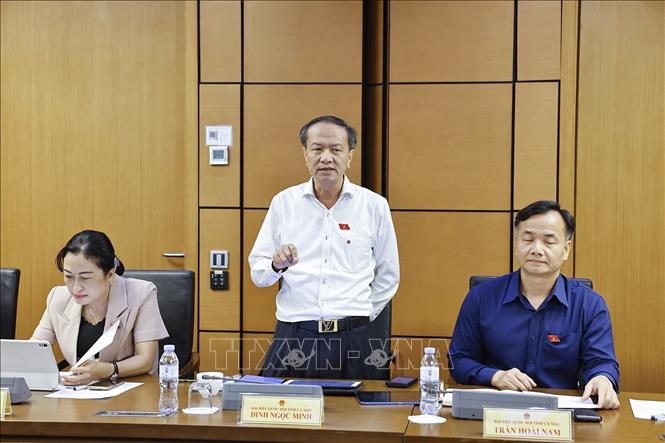 Đại biểu Quốc hội tỉnh Cà Mau Đinh Ngọc Minh phát biểu. Ảnh: Doãn Tấn - TTXVN